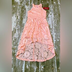 A pink lace dress